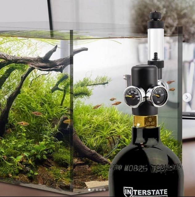 Aquarium regulator (2)
